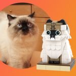 custom-cat-photo-brick-figure