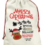 Merry Christmas Delivery Santa Bag