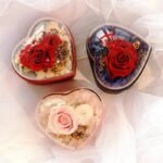 8453c6aa-5ffb-4680-947e-5031947adece-0jpg