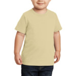 Round Neck boys T Shirt Beige