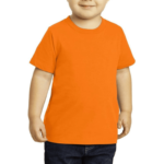 Round Neck boys T Shirt Orange