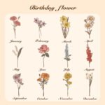 56c026ad-e450-46ed-9d24-8a2672746045-0jpeg