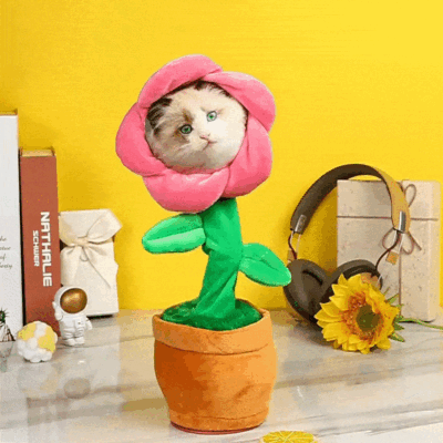 Dancing Plant Music Toy