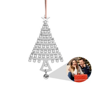 Photo Projection Ornament