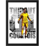 Belgium soccer fan wall decor