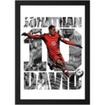 Canada football wall frame for home decoration