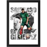 Mexico soccer fan wall decor