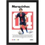 Sports fan Brazil picture display