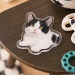 custom-photo-fridge-magnet